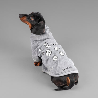 a dachshunds in a luxury sausage dog size  hoodie 