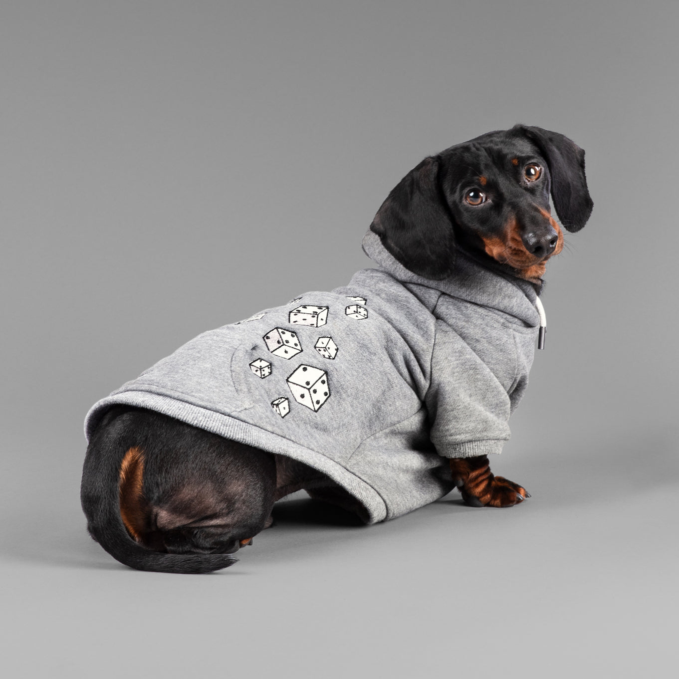 dachshund side profile in luxury hoodie with embroidery 
