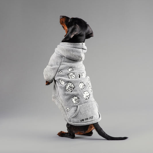 Dachshund standing on two back legs wearing a luxury embroidered hoodie with dice on with standard and sausage dog sizes.
